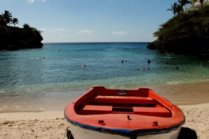 Whale Watching Samana - Tours & Excursions