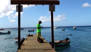 Ileana Tours