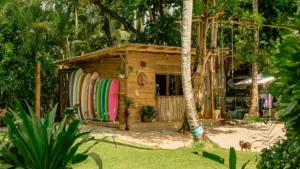 Carolina Surf School