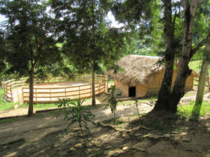 Hacienda La Suerte