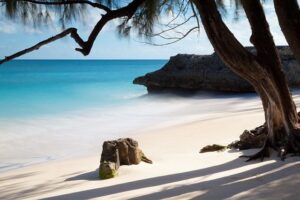Viajar A Samaná Excursiones Y Tours Privados